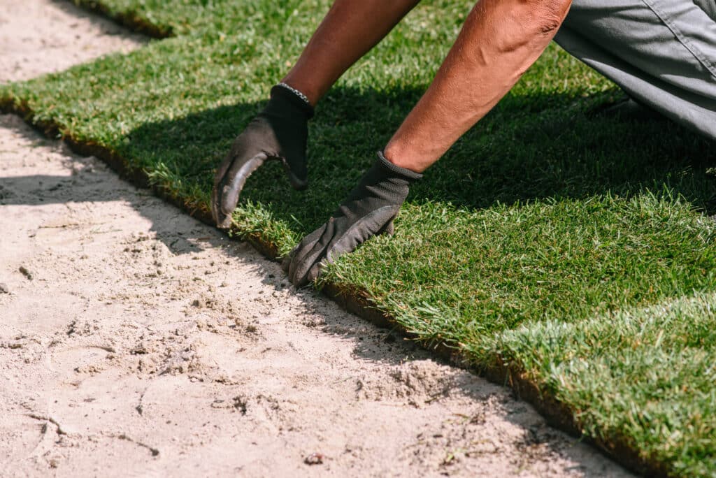 Stacking of roll green lawn grass. Hands in gardening gloves laying green sod. Copy space.